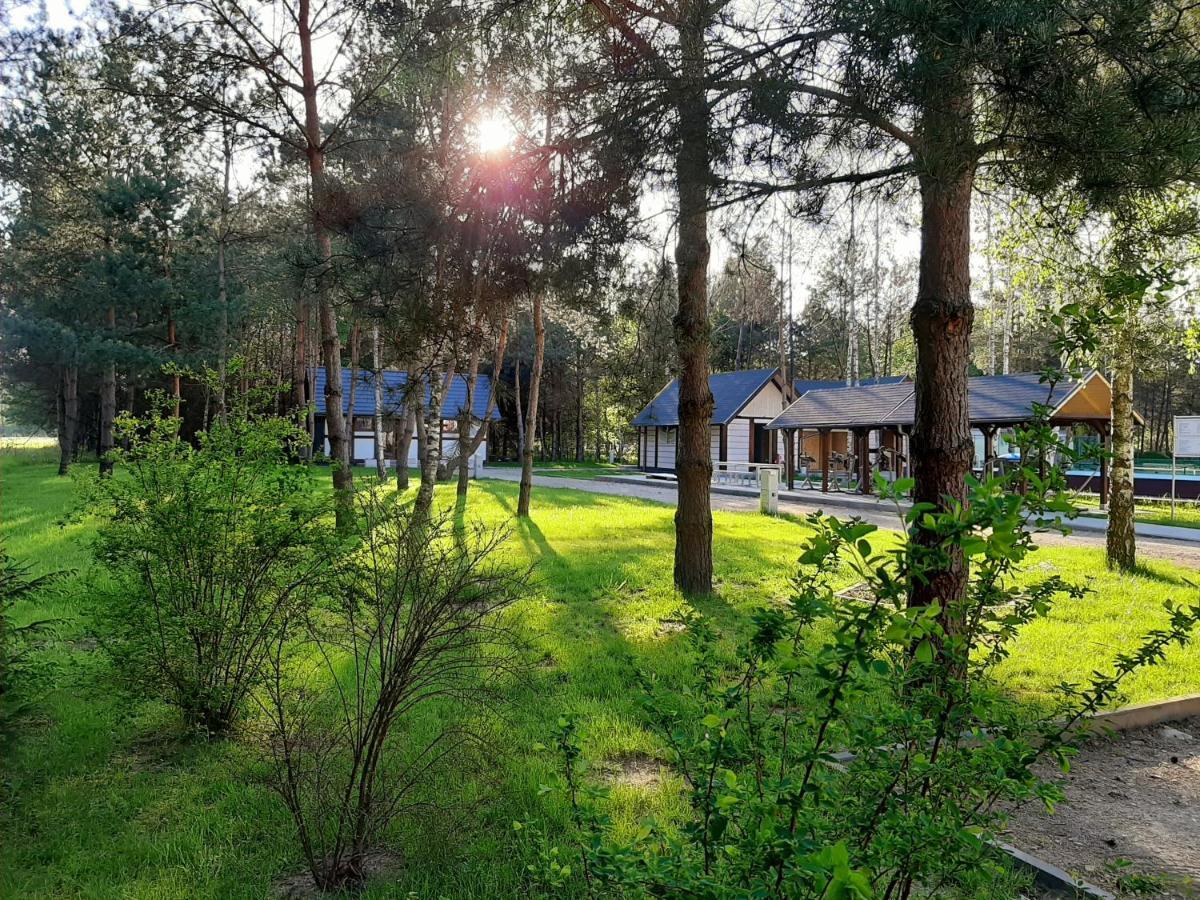 Osrodek Wypoczynkowy Lubu Dubu Hotell Dankow Exteriör bild